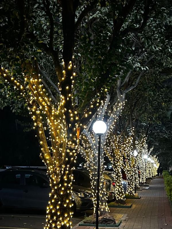 Alameda de árvores iluminadas em área comum de condomínio