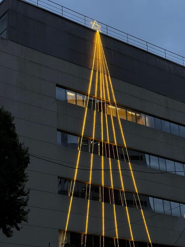 Árvore de luz iluminando a fachada de um edifício corporativo à noite