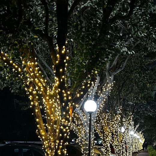 Alameda de árvores iluminadas em condomínio